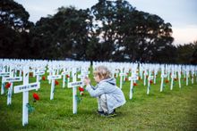National Field of Remembrance at Auckland Domain