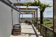 Lightfoot & Sons Vineyard