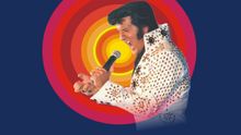 Elvis the King in concert
