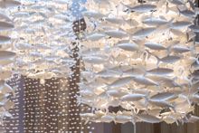 Gambaro Hotel - Brisbane