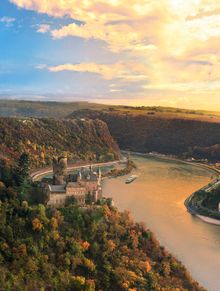 Rhine