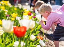 Floriade - Australia's biggest celebration of spring - returns in 2018.