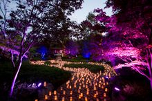 Canberra Nara Candle Festival.