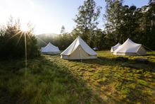 The ultimate family sleepover – A Wild Night Out at Tidbinbilla