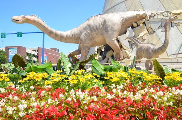 Adult Alamasaur dinosaur: 54-foot-long and youth dinosaurs: 34-foot-long each bursting out of the building