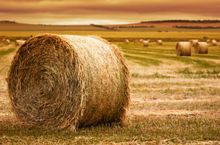 Chimu donated a bale a booking for August bookings