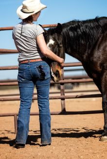 Unbridle Your Creativity Retreat, Rancho de la Osa, Arizona