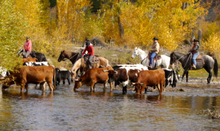 Rocking Z Guest Ranch, Montana