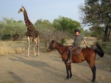 Tony Daly, Managing Director at Ranch Rider riding at Ant's Nest in South Africa