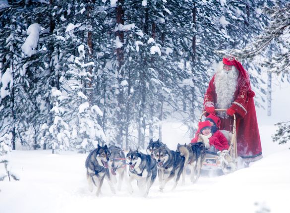 Husky Sledding with Santa at Rovaniemi