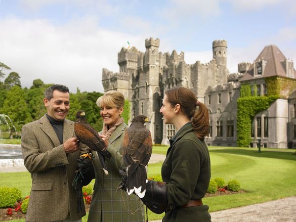 Admiring the falcons at Ashford Castle in County Mayo, Ireland 