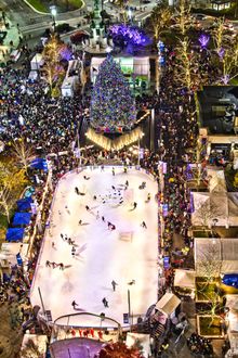 The Rink at Campus Martius Park