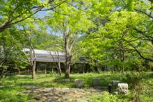 KAI Kinugawa