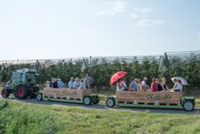 Bei den Apfelwochenevents geht es auf in die Plantagen. Einsteigen und die Bodenseeregion erkunden. 