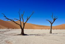 Nature walk, Deadvlei, Namibia