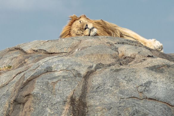 Serengeti National Park, Tanzania