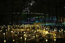 Bruce Munro's Field of Light