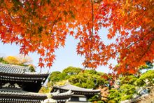 Hasedera Temple