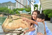 The historic Kadoorie Pier was once a military site with artilleries on both sides and a popular venue for dragon boat training. It is now the best spot for a sweeping view of Sam Shing Typhoon Shelter and, if you are lucky, you might spot the rare Indo-P