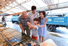 Enjoy the umami of ‘sea-to-table’ local seafood at the Sam Shing Seafood Market, where you can choose your favourite ingredients fresh from the sea and have them cooked to your liking by the restaurants on site.