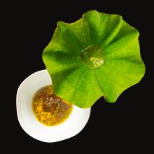 A dish by top chef talent Tokyo's Zaiyu Hasegawa, who will feature at The Curated Plate culinary festival on the Sunshine Coast.