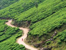 Trails of Kerala & Tamil Nadu 