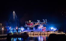 Winter Show Luna Magica