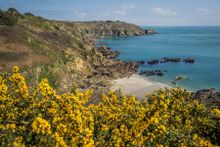 Bucht auf Guernsey