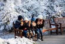 Winter Efteling 