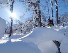 Hoshino Resorts OMO7 Asahikawa Kamui Skilinks