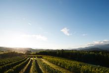 Hoshino Resorts RISONARE Yatsugatake Vineyard