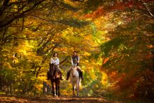 Hoshino Resorts RISONARE Yatsugatake Horse Riding