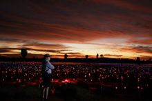 Bruce Munro's Field of Light installation wows 'em in the centre.