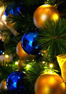 新年快乐 Happy New Year