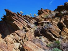 Desert Adventures Indian Canyons Jeep Tour