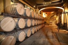 Pio Cesare Cellars  (Barolo, Italy)