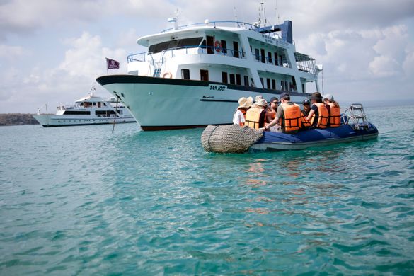 Island hopping by yacht on a small group tour of the Galapagos with G Adventures.