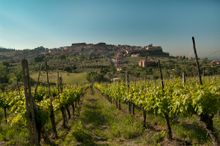 The lush landscapes of Tuscany on a Local Living tour with G Adventures