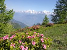 Hike in the Mountains of Piedmont with Hedonistic Hiking