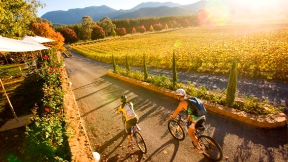 Feathertop Winery