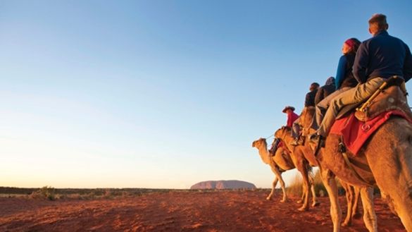 Uluru Camel Tours