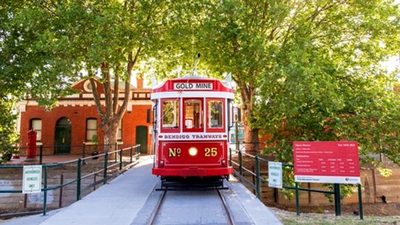 Bendigo Tramways