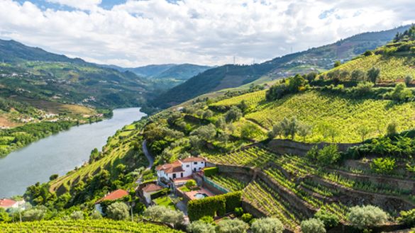 Stunning, vineyard-lined views in the Douro Valley