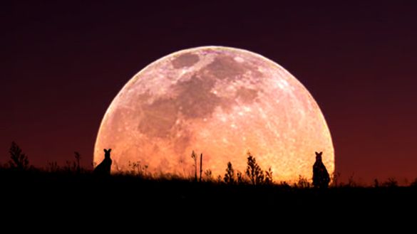 A double exposure of the Supermoon and the Urambi Hills Nature Reserve created by Instagrammer @akirawisnu