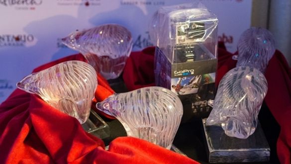 Showcasing 2016 BACTA Tropies 