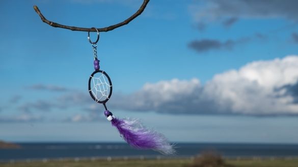 Dreamcatcher 