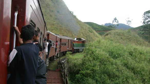 Train through tea plantations to Nuwara Eliya 