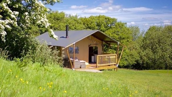 Juniper Safari Tent