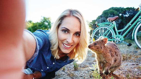 Quokka selfie on Rottnest Island