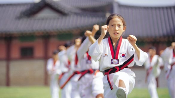 Taekwondo action